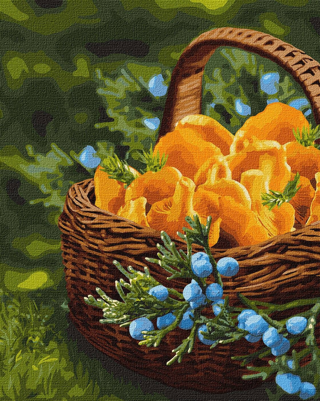Набір для розпису по номерах. &amp;quot;Сонце у кошику&amp;quot; 40*50