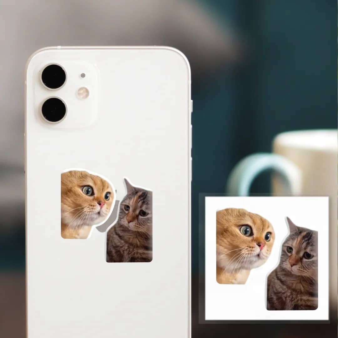 3D-стікер &amp;quot;Коти меми&amp;quot;