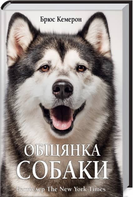 Обіцянка собаки