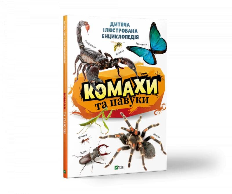 Комахи та павуки