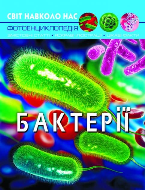 Світ навколо нас. Бактерії