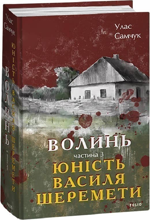 Волинь. Частина 3. Юність Василя Шеремети з пошкодженням