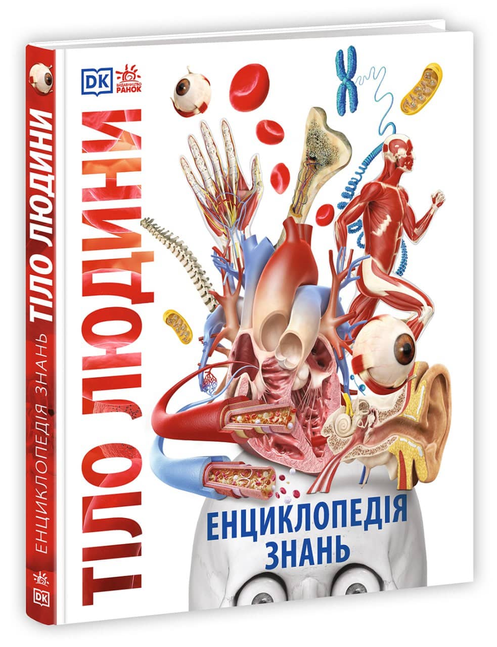Енциклопедія знань. Тіло людини