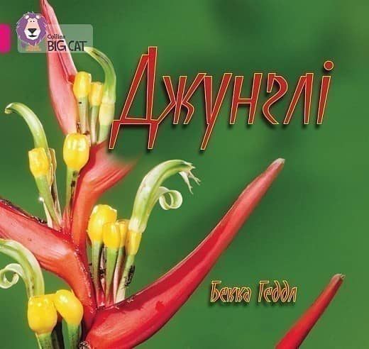 Джунглі