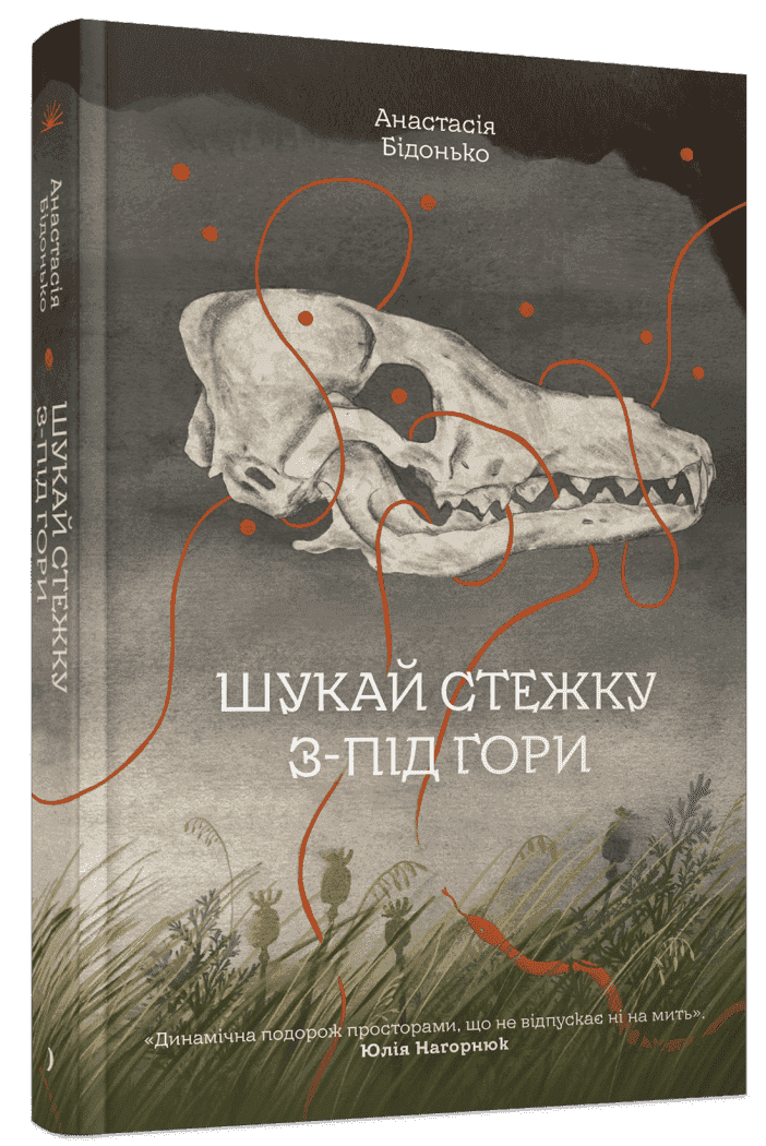 Шукай стежку з-під гори