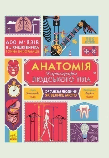 Анатомія