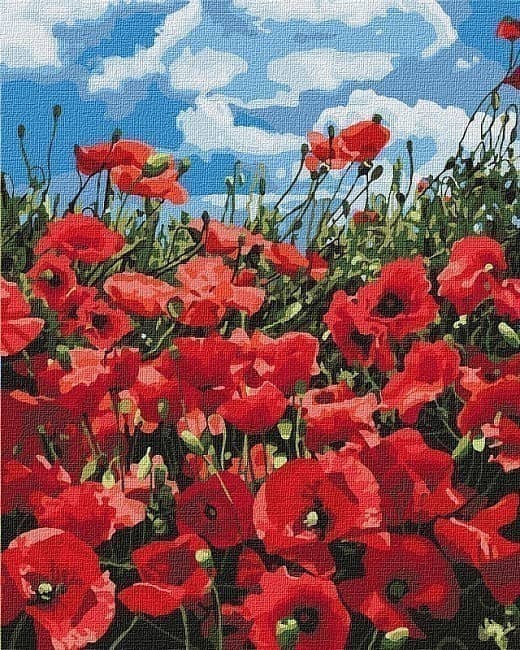 Набір для розпису по номерах. &amp;quot;Дивовожнi маки&amp;quot; 40*50см