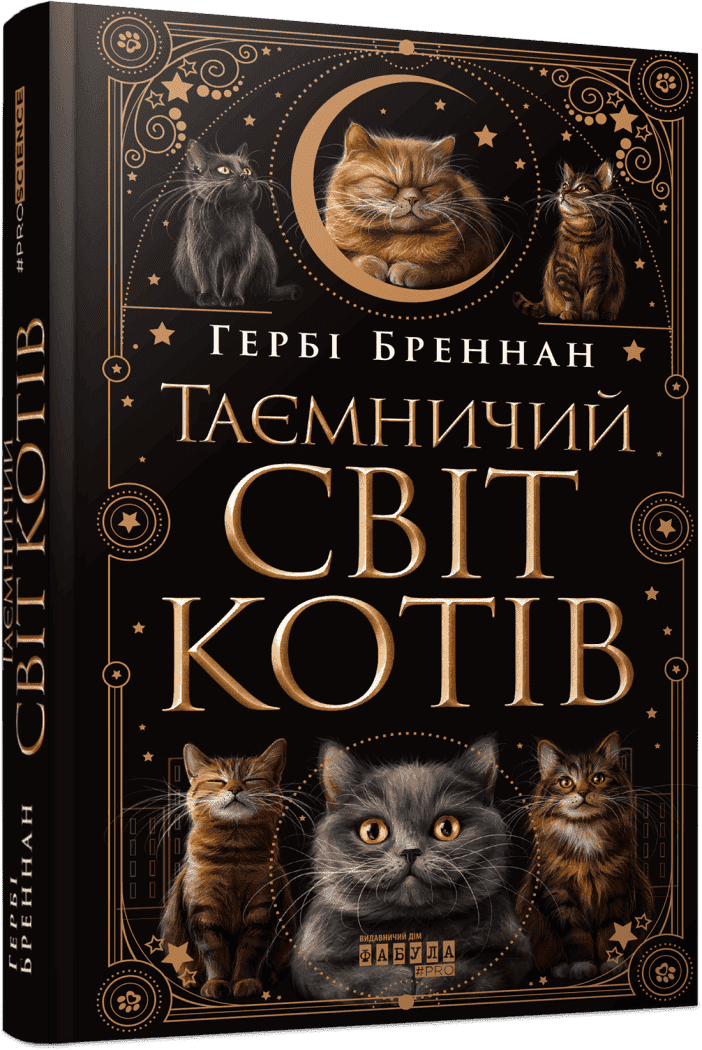 Таємничий світ котів