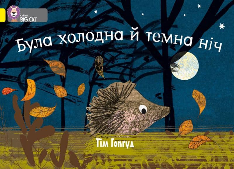 Була холодна й темна ніч
