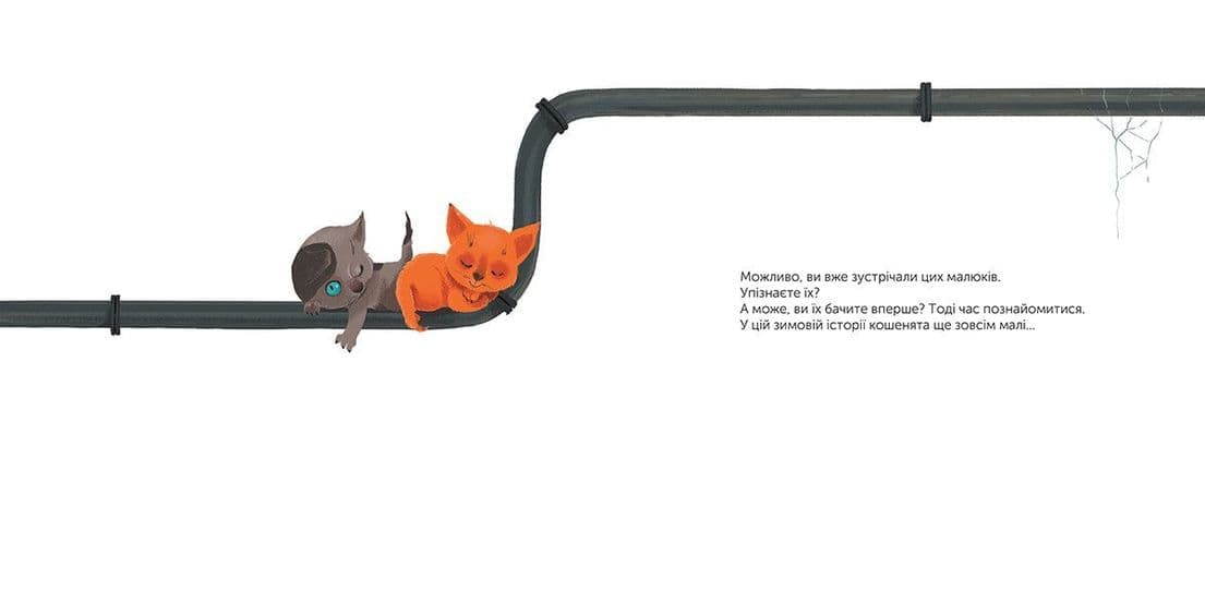 Котохатка, фото - 3