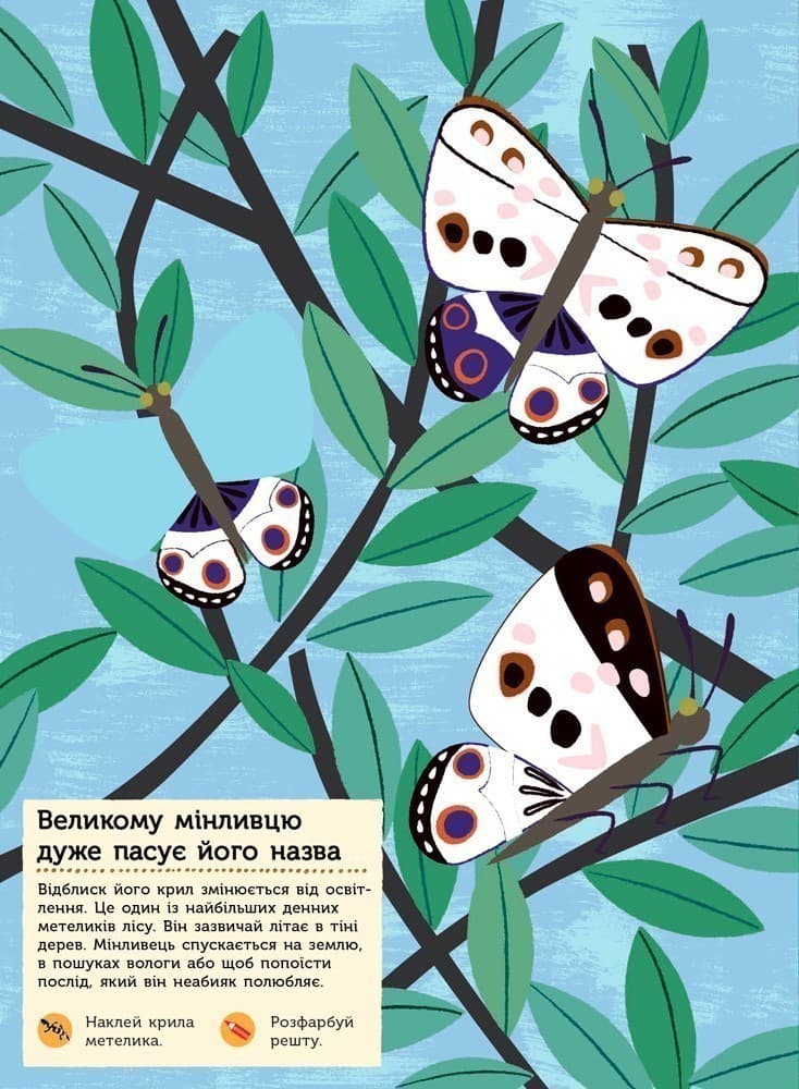 Тварини лісу. Моя книга природи, фото - 2