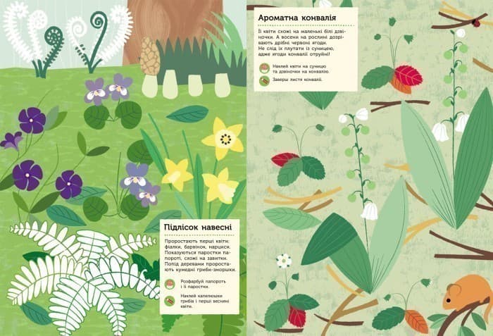 Моя книга природи : У лісі, фото - 2