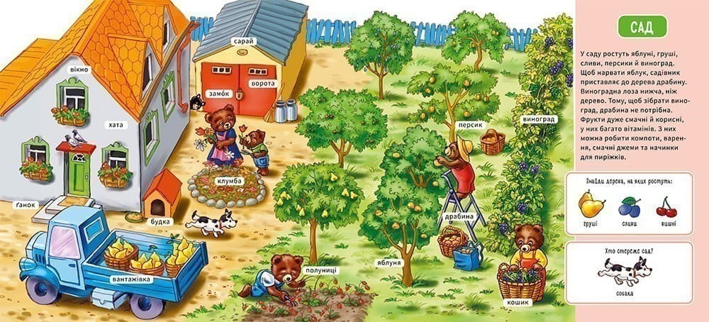 На фермі, фото - 2