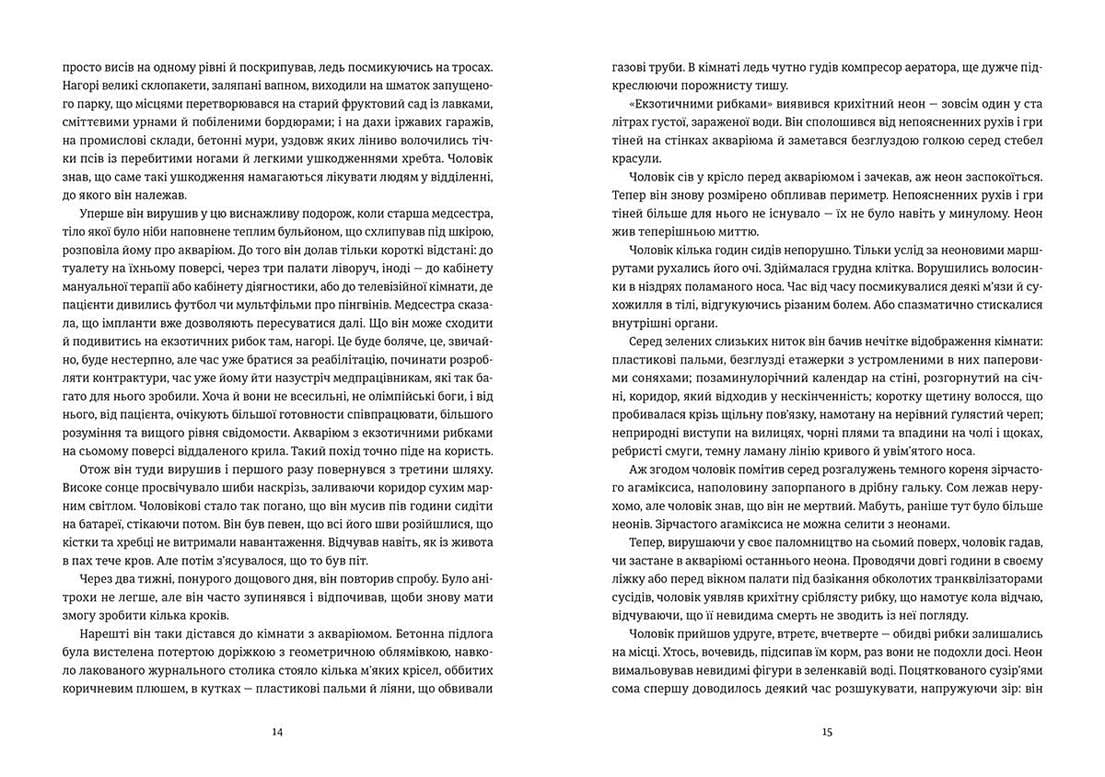 Амадока, фото - 2