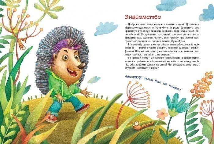 Пан Їжак, фото - 3