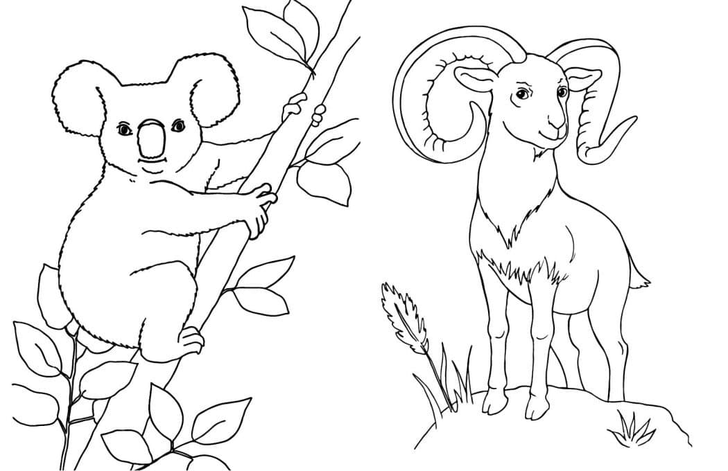 Велика книга розмальовок. Тварини, фото - 3