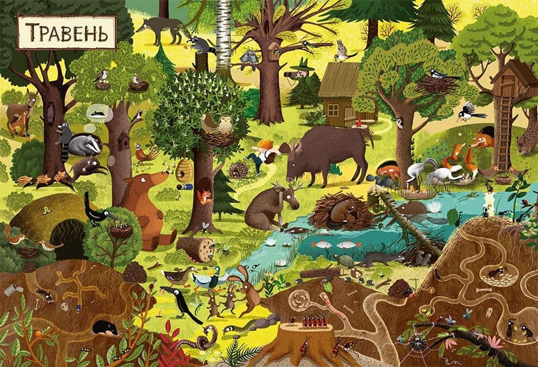 Рік у лісі, фото - 2