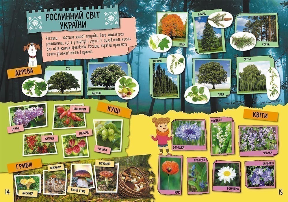 Маленькі українознавці. Моя рідна Україна, фото - 2