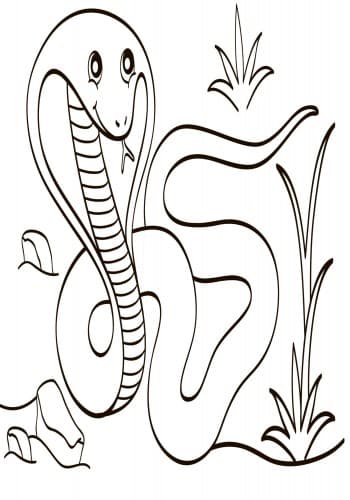 Екзотичні тварини, фото - 3