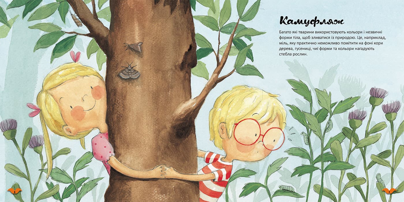 Кольори у світі тварин, фото - 3