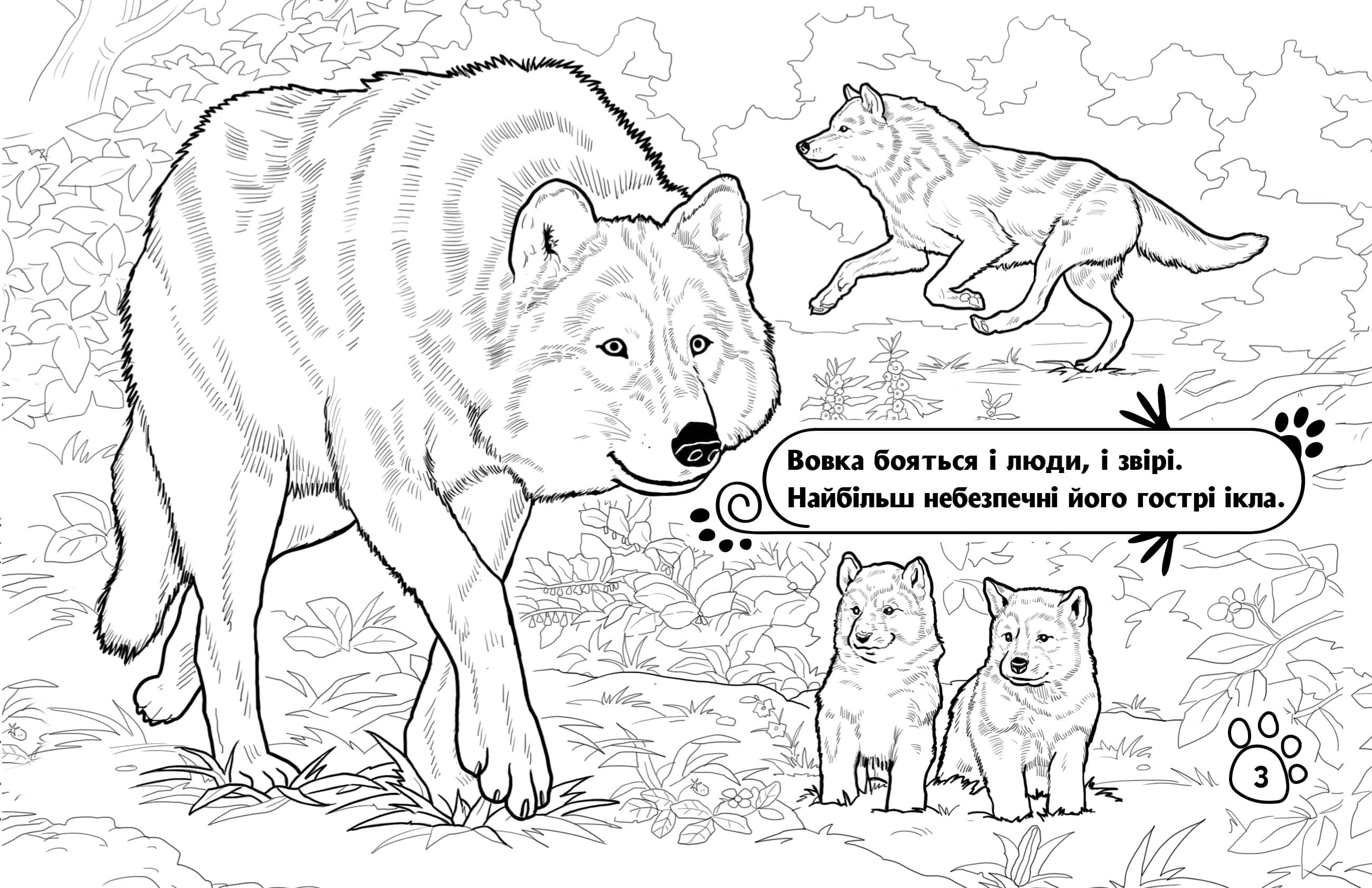 Розмальовка. Тварини в лісі, фото - 3