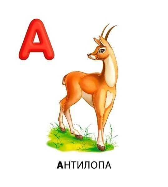 Абетка для дівчаток, фото - 2