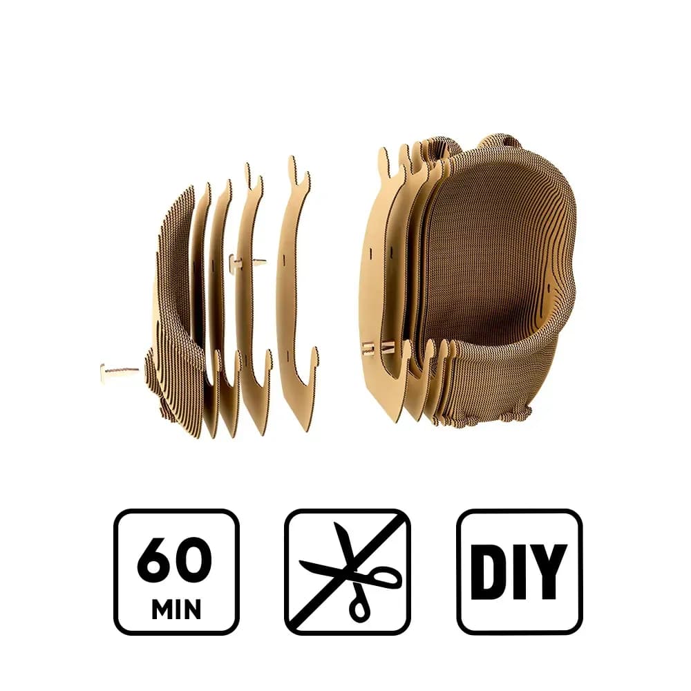 Картонний конструктор "Cartonic 3D Puzzle FROGGY", фото - 3