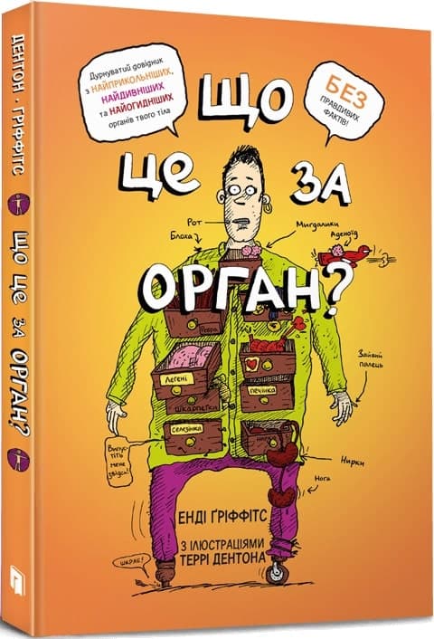 Що це за орган? Дурнуватий довідник з анатомії твого тіла, фото - 1