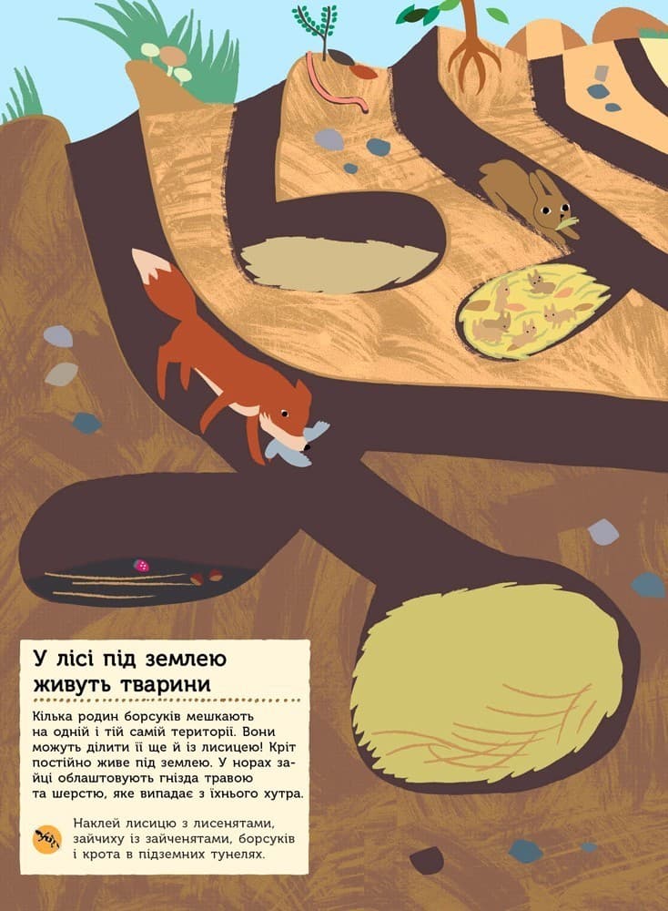 Тварини лісу. Моя книга природи, фото - 2