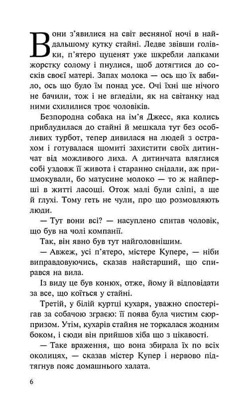 Пригоди Містера Кроса. Неймовірна подорож собаки-мандрівника, фото - 3