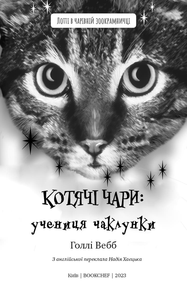 Котячі чари: учениця чаклунки, фото - 2