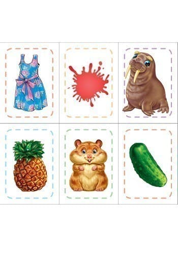 Пізнайко, фото - 2