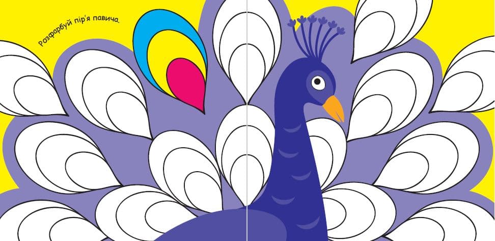 Від пір'я до вусів, фото - 3