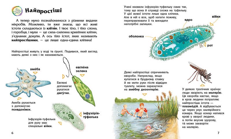 Мікроби. Енциклопедія дошкільника, фото - 2