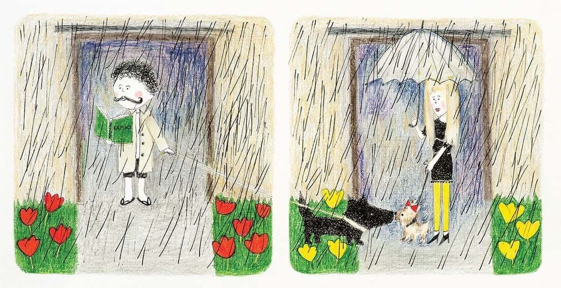 Кучеряві думають, що робити в дощ, фото - 3