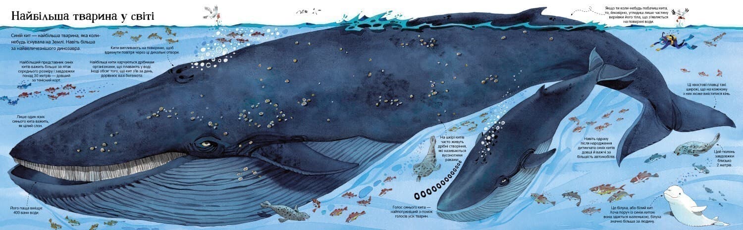 Велика книга тварин, фото - 2