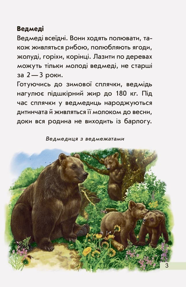 Європейські тварини, фото - 3