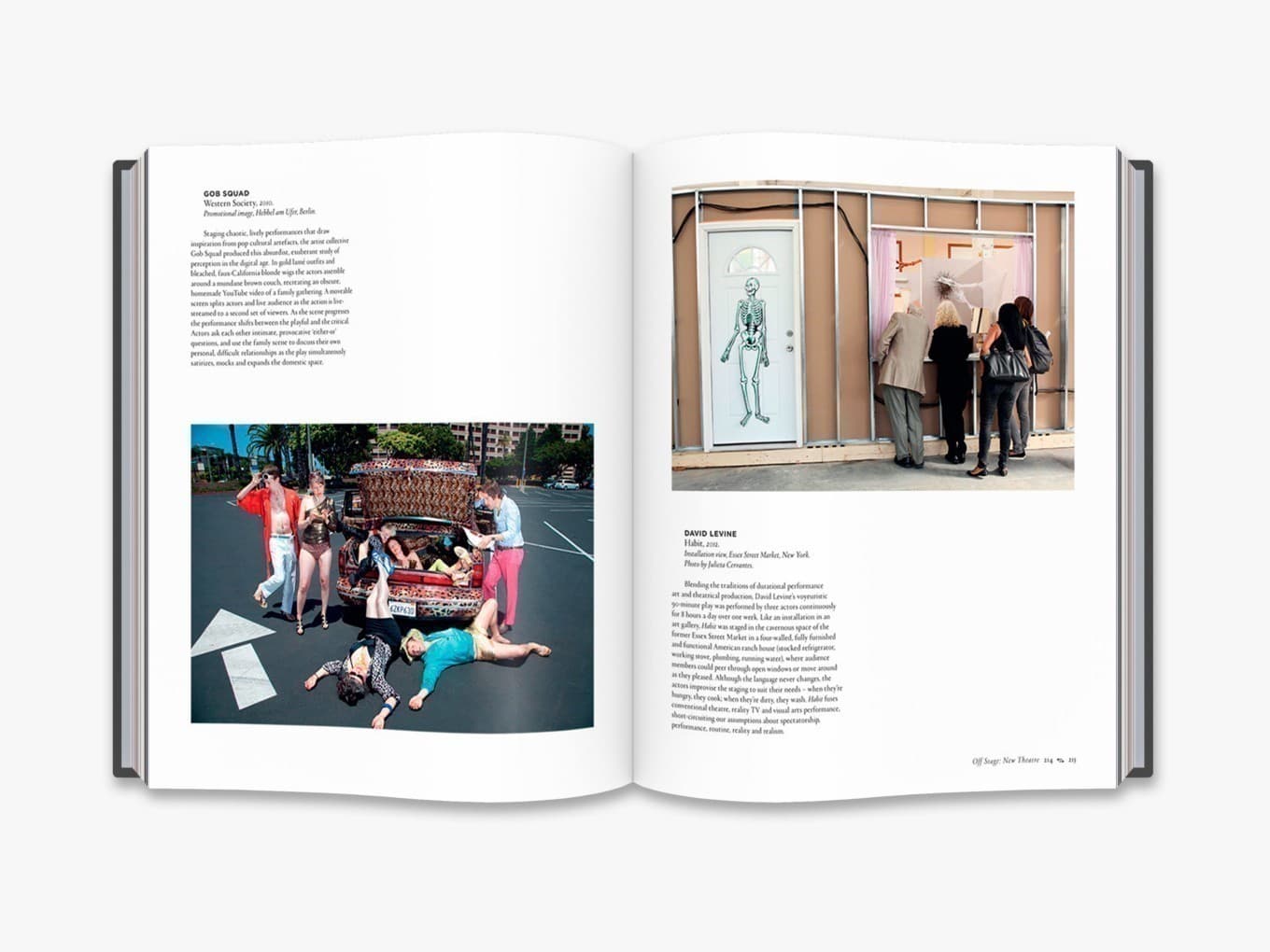 Performance Now. Live Art for the 21st Century, фото - 2