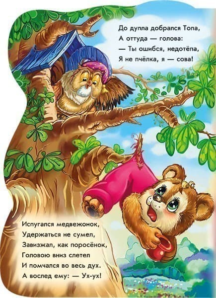 Медвежонок Топа, фото - 2