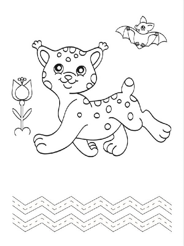 Єнот і компанія, фото - 3