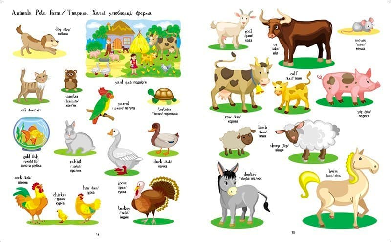 Книжка англійських слів у малюнках, фото - 3