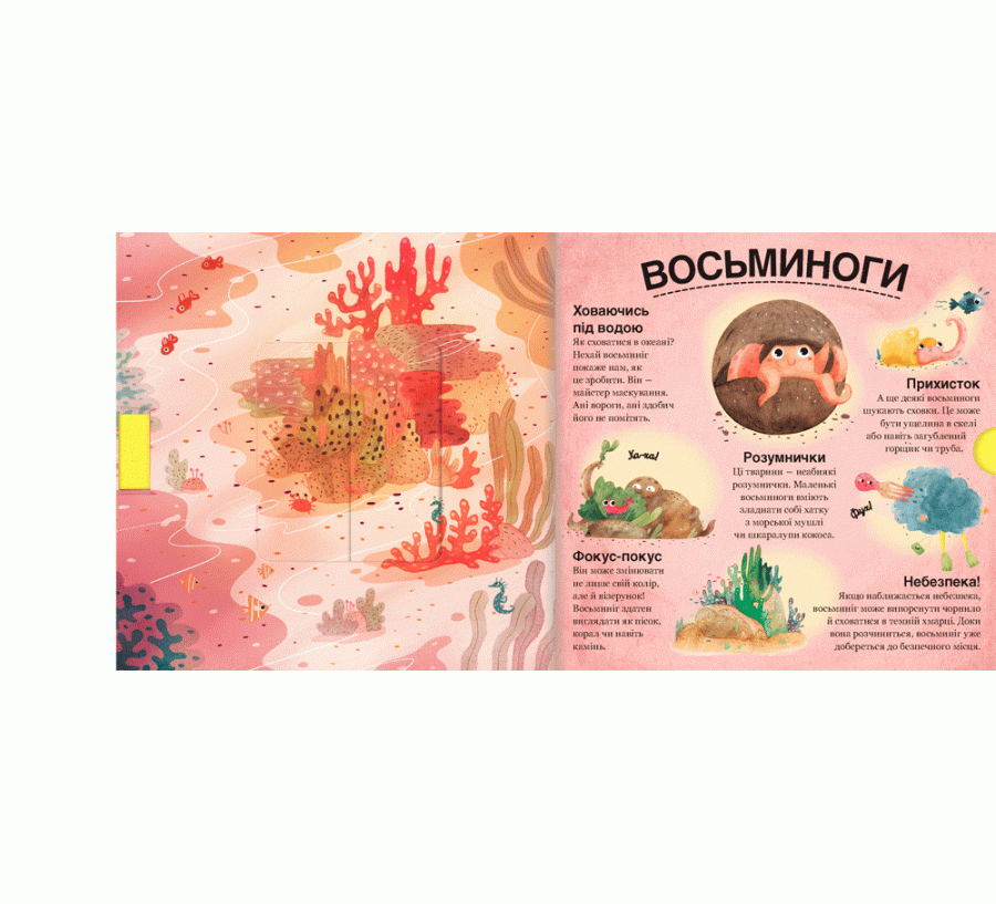 Хто ховається між листям й у воді?, фото - 3