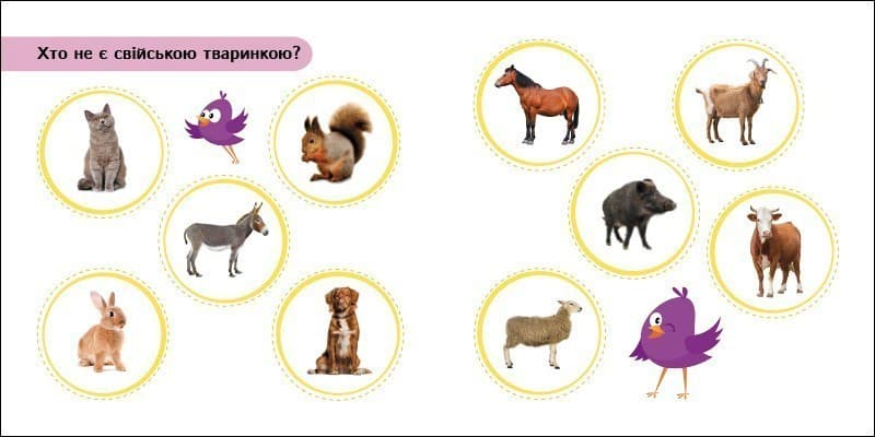 Міркувалочка. Сховай зайве., фото - 2