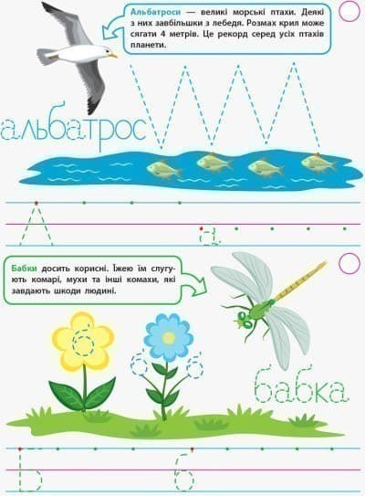 Прописи для розумників. Хто не літає?, фото - 3