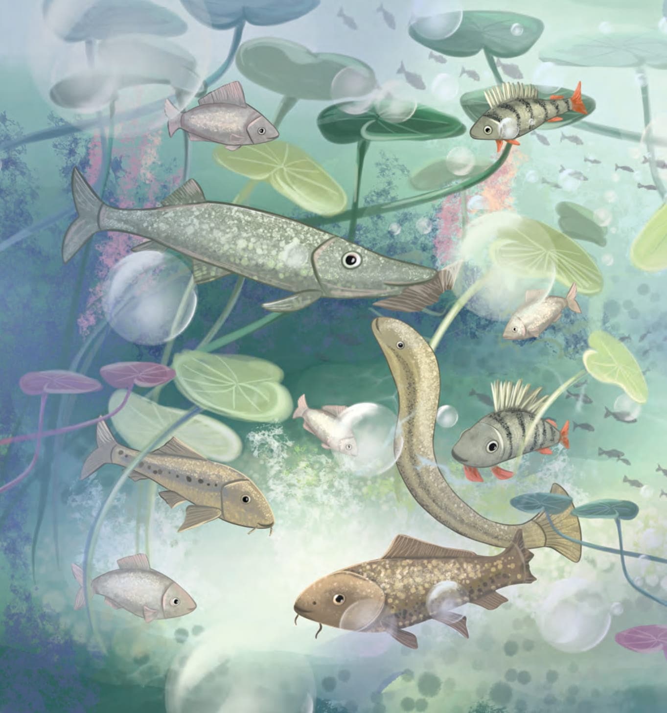 Гармидер у Дніпрі, фото - 2