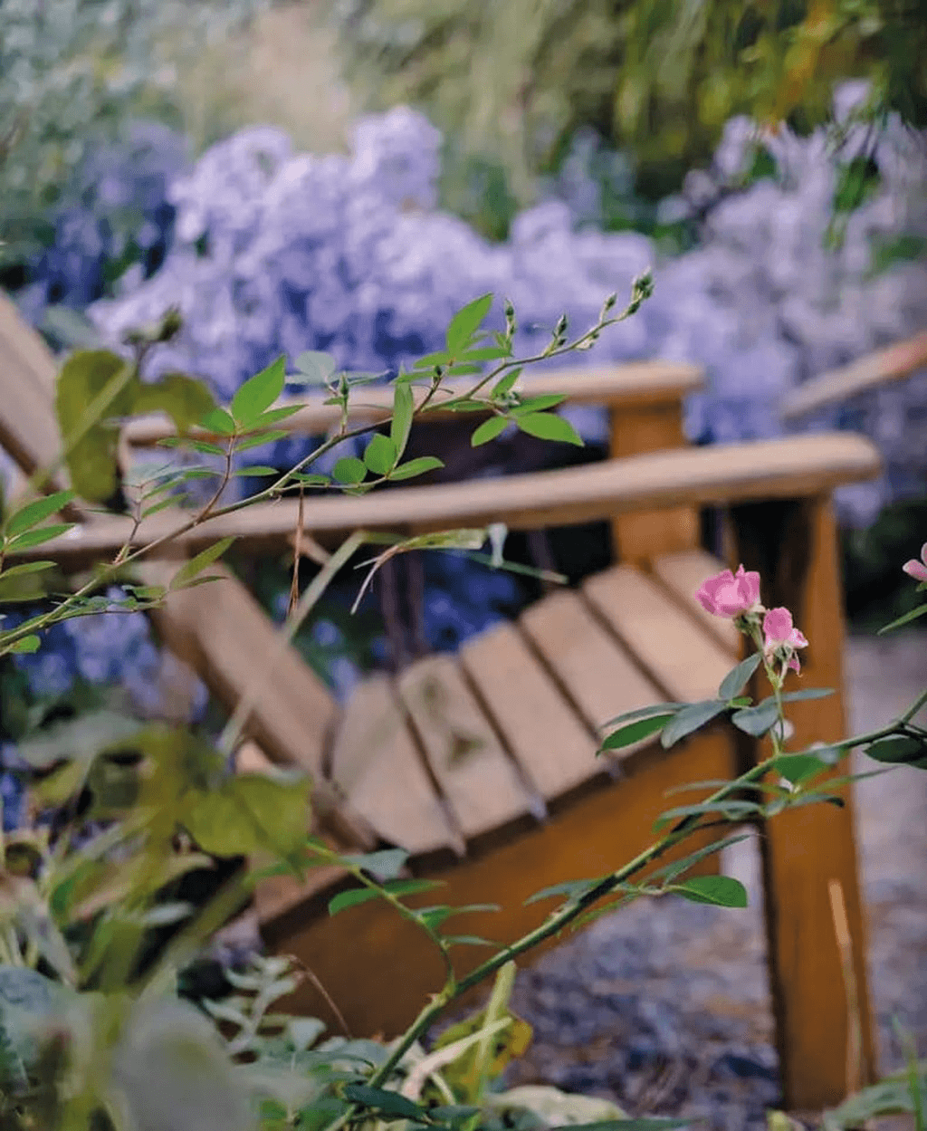 Сучасний український сад / Contemporary Ukrainian garden, фото - 2