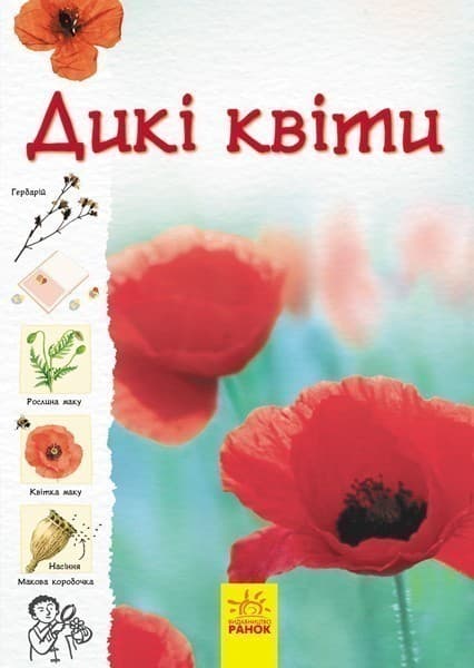 Дикі квіти, фото - 1