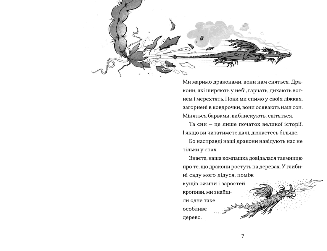 Хлопчик, який марив драконами, фото - 3