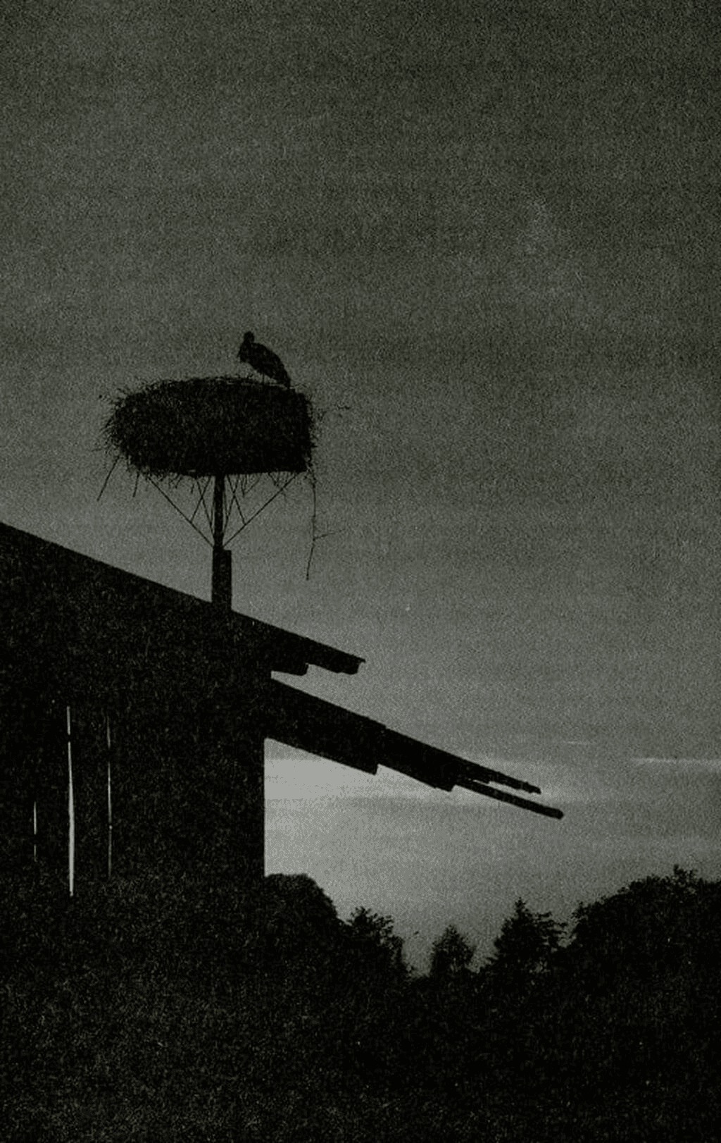 Останні українці Польщі, фото - 3