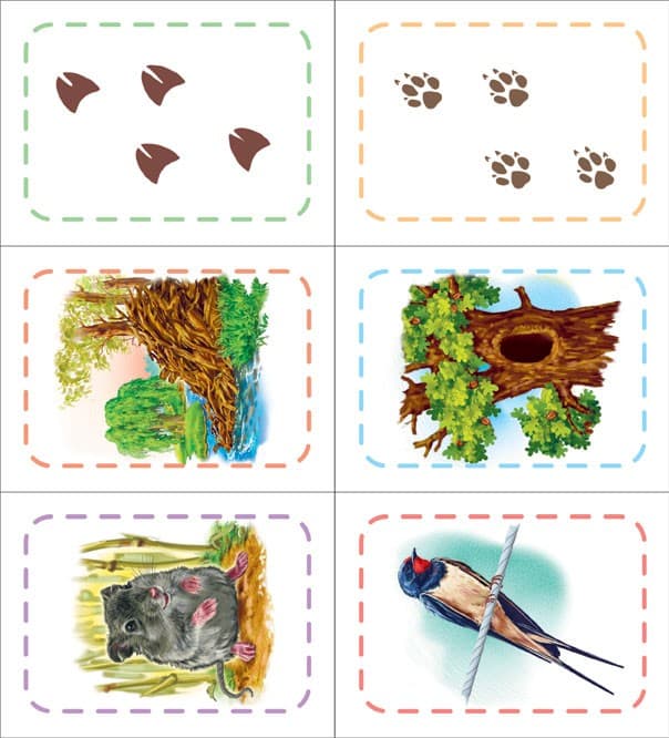 Хто де живе?, фото - 3